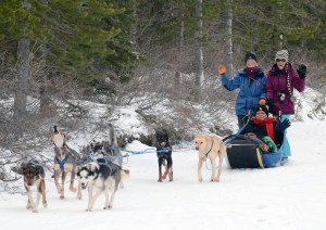 My turn mushing while my dad enjoys the ride