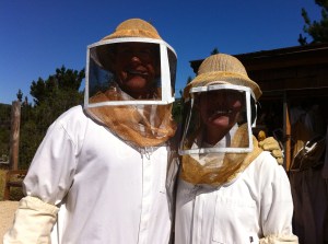 Keeping bees with my honey