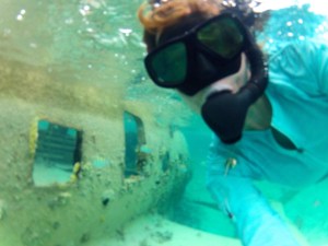 Diving a cocaine runner's wrecked DC-3.  normal.