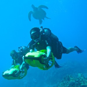 Todd, a turle and I are on our way out 